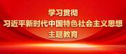 插插插骚逼学习贯彻习近平新时代中国特色社会主义思想主题教育_fororder_ad-371X160(2)